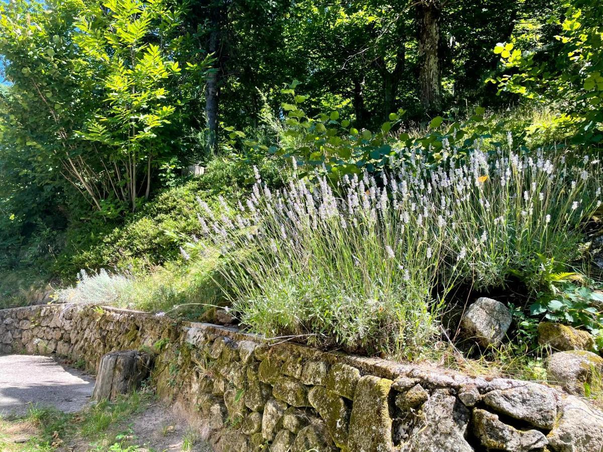 Gite Des Sausses Dans Une Nature Preservee Burzet المظهر الخارجي الصورة