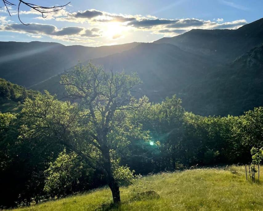 Gite Des Sausses Dans Une Nature Preservee Burzet المظهر الخارجي الصورة